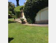 Giardino curato con ampio prato verde e una scalinata in pietra che sale tra siepi potate. Sul lato destro si vede un muro chiaro con base in pietra, affiancato da grandi cespugli arrotondati e vegetazione ornamentale.