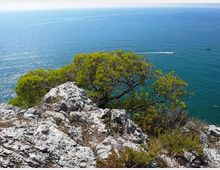 576-cf1e8e5fc3700d7b5b223ee63a89b777jpg