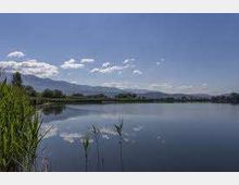 51996-photo-download-1-jpgjpg