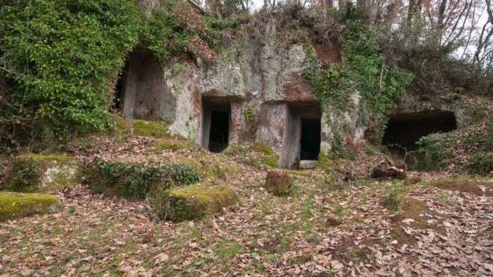 51809-photo-f08-jpgjpg