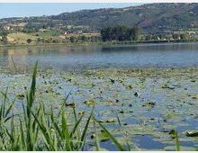 51976-photo-download-jpgjpg