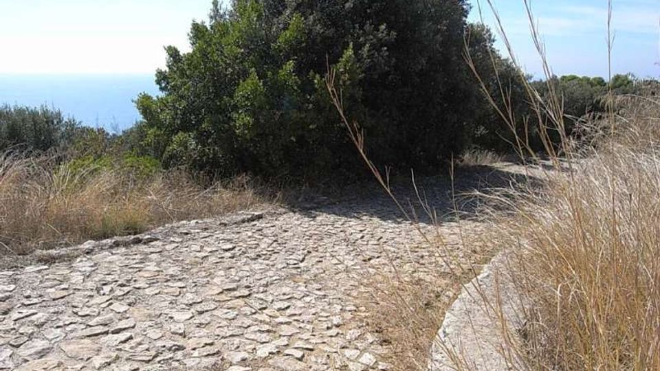 576-8fd42327a7d0df2e931275819a0a4351jpg