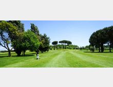 Ampio campo da golf con fairway in erba rasata e bunker di sabbia, circondato da alberi e cespugli. Sullo sfondo si vedono pini a ombrello sotto un cielo azzurro limpido.