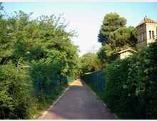 Strada asfaltata stretta tra recinzioni e fitta vegetazione, con alberi alti che costeggiano il percorso. Sul lato destro si intravede una torre in mattoni con tetto in tegole, parzialmente nascosta dal verde.