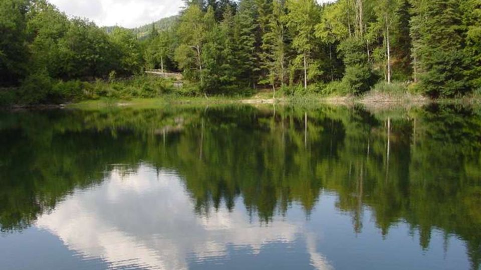 51902-photo-laghetti-percile-jpgjpg