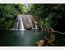 Piccola cascata che scende su una parete rocciosa in una pozza d’acqua calma, circondata da vegetazione fitta e alberi. In primo piano si vedono rami e tronchi caduti che sporgono verso l’acqua.