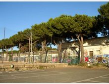 Parcheggio asfaltato con strisce bianche in primo piano, affiancato da una recinzione metallica e da un lungo edificio basso con muri coperti di graffiti. Dietro l’edificio si vedono numerosi pini marittimi dal tronco alto e chioma ampia sotto un cielo sereno.