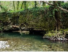 52550-photo-parco-regionale-marturanum-3-jpgjpg