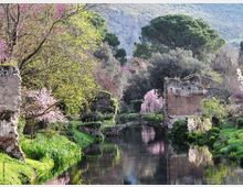 52194-photo-giardino-ninfa-buis-2-2-jpgjpg