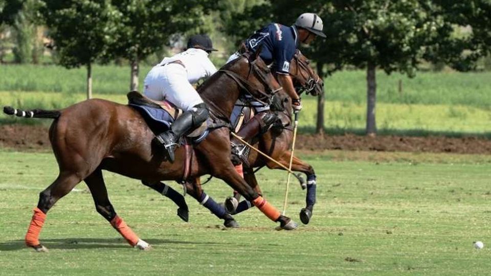 Campo da polo in erba con ampio prato e filari di alberi sullo sfondo. In primo piano si vedono cavalli in corsa con attrezzatura da gioco e una pallina bianca sul terreno.