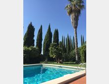 Piscina all’aperto con acqua azzurra e bordo chiaro, affiancata da una pedana in terracotta e una scaletta metallica. Sullo sfondo un giardino con cipressi alti e palme sotto un cielo sereno.