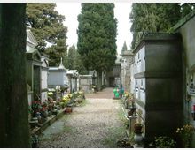Viale di un cimitero con sentiero in ghiaia, fiancheggiato da cappelle e loculi in muratura e pietra. Ai lati si vedono molti vasi di fiori e alti cipressi che incorniciano il percorso.