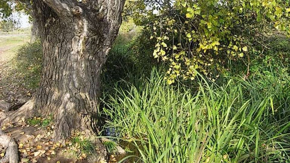 560-c533f665f5672b61820045f0b0b779d5jpg