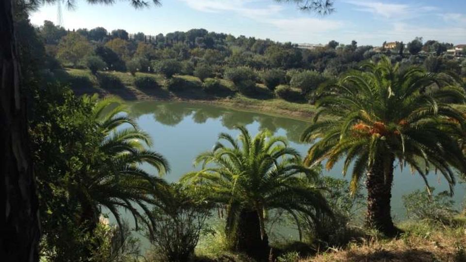 Vista panoramica di un lago o bacino con acqua calma, circondato da vegetazione mediterranea e palme in primo piano. Sullo sfondo si vedono colline alberate e alcune case sparse sotto un cielo sereno.