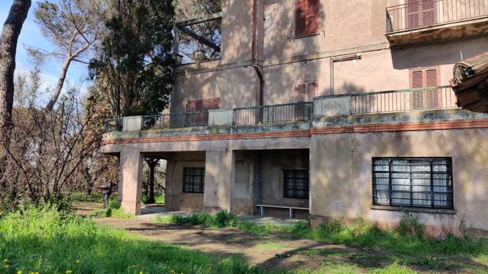 58036-photo-img-20210311-124626-jpgjpg