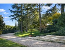 Giardino alberato con ampio prato e alti alberi sempreverdi, attraversato da un vialetto in ghiaia che curva lungo siepi fitte. A destra ci sono bassi gradini in pietra e vegetazione ornamentale, sotto un cielo sereno.