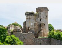 Rovine di un castello in pietra con una grande torre cilindrica e una torretta merlata, con mura parzialmente crollate e finestre aperte. La struttura è circondata da alberi e vegetazione, con un cielo chiaro sullo sfondo.