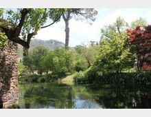 52206-photo-ninfa-063-640x426-jpgjpg