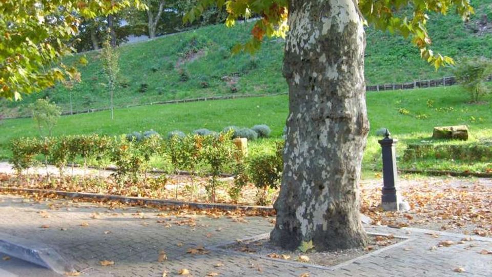 684-96aa5b286304605dd8a90bcc21d1f6e6jpg