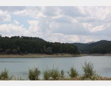 49511-photo-15-jpgjpg