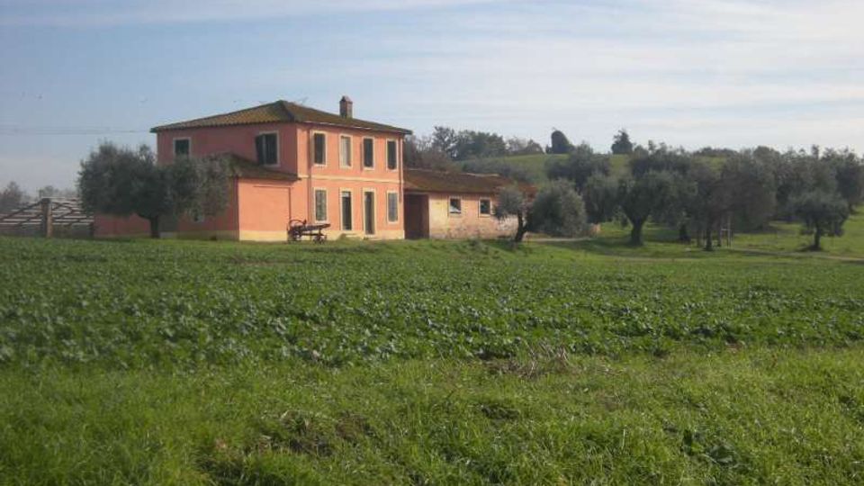 Casa colonica a due piani color arancio con tetto in tegole e annesso basso, situata in campagna. In primo piano un campo verde e sullo sfondo un oliveto con alberi sparsi sotto un cielo sereno.