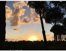 Tramonto su un paesaggio naturale con sagome di alti pini in primo piano. Il sole è vicino all’orizzonte e illumina un cielo con grandi nuvole sparse sopra una linea di vegetazione scura.