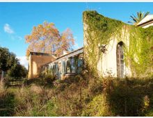Edificio rurale in parte abbandonato, con pareti esterne ricoperte di edera e una grande finestra ad arco; sul lato sinistro si vede un’ala con ampie vetrate. In primo piano c’è vegetazione alta e incolta, con alberi sullo sfondo sotto un cielo sereno.
