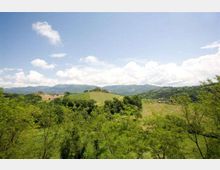 347-717fee1d491dcfe15855e83dacbe4e2fjpg