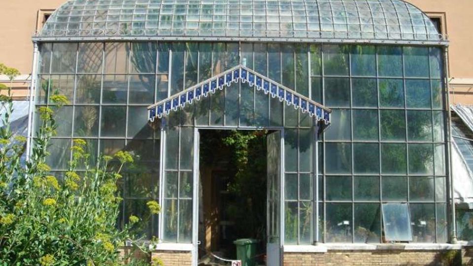 Serra in vetro e metallo addossata a un edificio, con grande facciata a riquadri e tetto curvo trasparente. Al centro c’è un ingresso aperto con una piccola pensilina decorativa, circondato da vegetazione e aiuole.