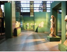 Interno di un museo o spazio espositivo con pareti e piedistalli verde acqua che ospitano statue e frammenti scultorei. L’ambiente è ampio e industriale, con soffitto alto in metallo e grandi finestre a griglia che illuminano la sala.