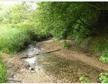 52054-photo-riservanaturaleinsugherata-d0-jpgjpg