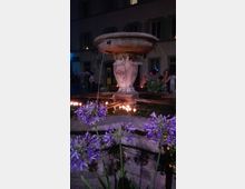 Fontana in pietra in una piazza notturna, con grande vasca circolare sopra un basamento scolpito e getti d’acqua che ricadono nella vasca inferiore. In primo piano ci sono fiori viola lungo il bordo, sullo sfondo una facciata di edificio con finestre e luci soffuse.