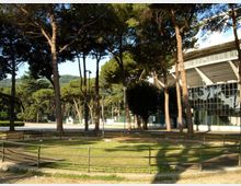 Parco con alti pini e aiuole erbose delimitate da ringhiere basse e panchine lungo vialetti. Sul lato destro si vede un grande edificio moderno con facciata vetrata e ampia struttura sporgente.