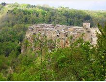 Veduta panoramica di un borgo medievale in pietra arroccato su una rupe, con case addossate tra loro e una torre quadrata. Il paese è circondato da una fitta vegetazione boschiva su pendii collinari.