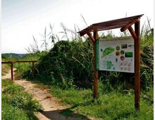 52045-photo-insugherata-jpgjpg