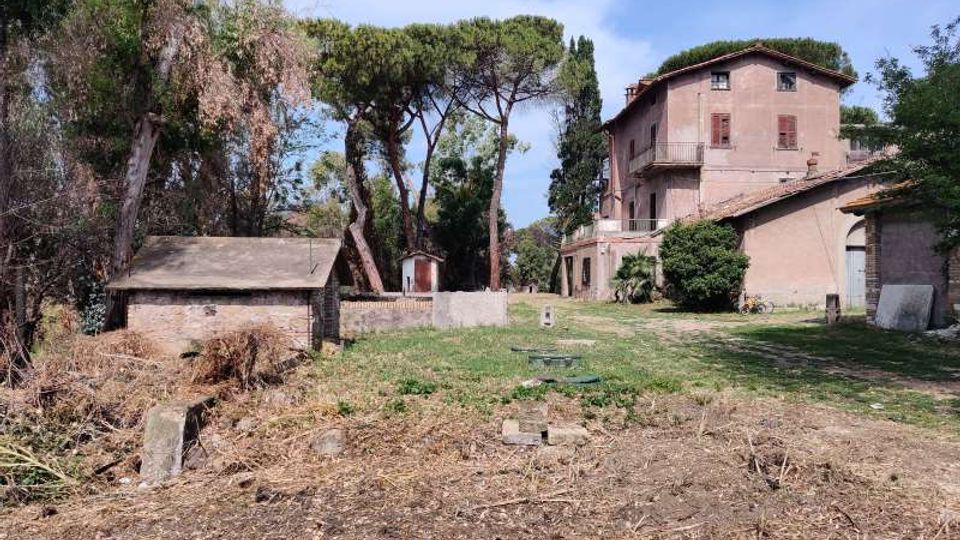 58048-photo-img-20210616-095918-jpgjpg