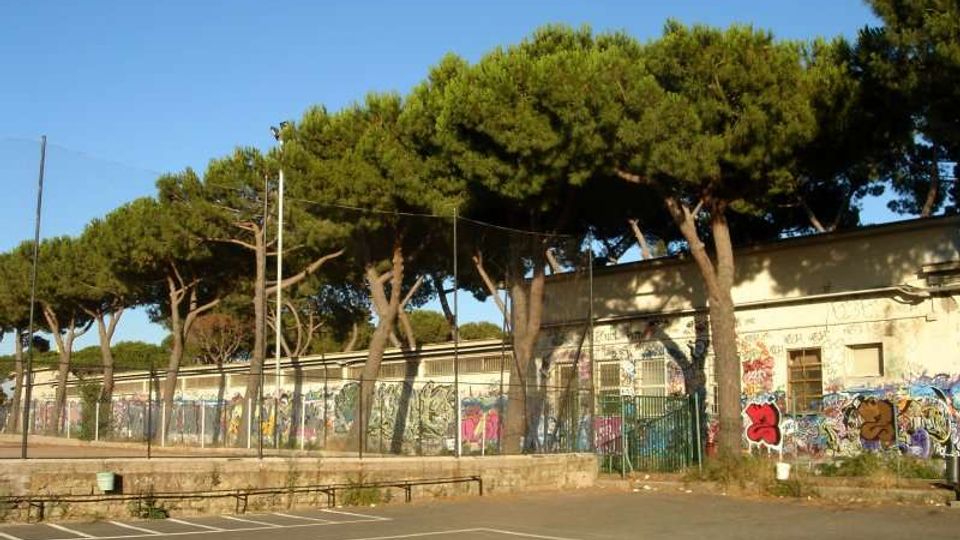 Parcheggio asfaltato con strisce bianche in primo piano, affiancato da una recinzione metallica e da un lungo edificio basso con muri coperti di graffiti. Dietro l’edificio si vedono numerosi pini marittimi dal tronco alto e chioma ampia sotto un cielo sereno.
