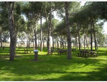 950-b3ccd3504474278c8b499f14ec0dc893jpg