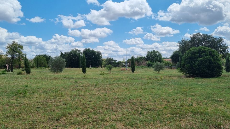 Ampio prato in un’area verde aperta con alberi e cespugli sparsi, tra cui alcuni cipressi sottili e un grande arbusto rotondo sulla destra. Sullo sfondo si vede una struttura metallica e una linea di alberi sotto un cielo azzurro con nuvole bianche.