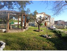 Cortile di una casa di campagna con prato e alberi, con pergolato in legno e arredi da giardino sulla sinistra. Sullo sfondo si vede un’abitazione a due piani con facciata in pietra e balcone, oltre a piccoli muretti in pietra e aiuole.