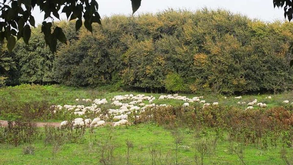 560-c2cbd74be410685d06667f5c3bce0cc9jpg