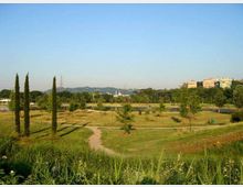 Ampio parco urbano con prati ondulati e sentieri sterrati, alberi sparsi e alcuni cipressi slanciati in primo piano. Sullo sfondo si vedono un corso d’acqua o canale, colline e palazzi residenziali sotto un cielo sereno.