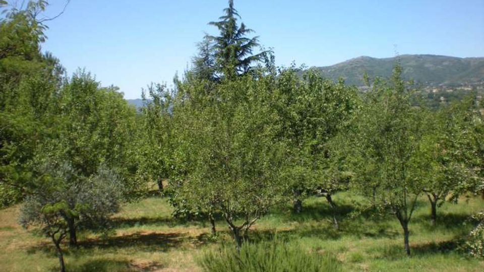 1198-9c85cabe548e1516b37c3b21bf11d5a8jpg