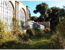 Serra in muratura con grandi finestre ad arco a riquadri lungo una struttura allungata, parzialmente coperta da vegetazione. Intorno si vede un giardino incolto con erba alta e cespugli, con alberi fitti sullo sfondo sotto cielo sereno.