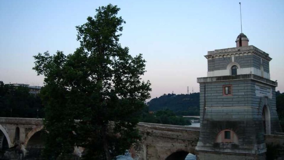 1102-2ee2cf328966abaffeb5f0ad4d2a1a1cjpg