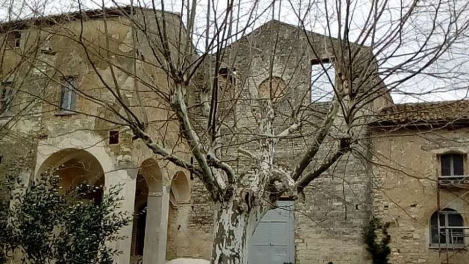 56109-photo-img-20180126-120643-jpgjpg