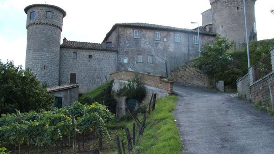 Edificio storico in pietra con due torri cilindriche merlate, situato su un pendio. In primo piano una strada asfaltata in salita con muretti e lampioni, affiancata da vegetazione e filari di vigneto.