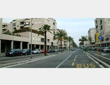Ampio viale urbano con palme lungo lo spartitraffico e file di auto parcheggiate ai lati, fiancheggiato da alti edifici residenziali moderni. In primo piano si vede una corsia riservata ai bus con la scritta “BUS” sull’asfalto e segnaletica stradale.