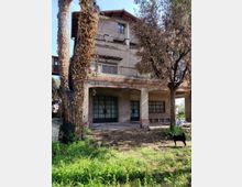 58037-photo-img-20210311-124809-jpgjpg