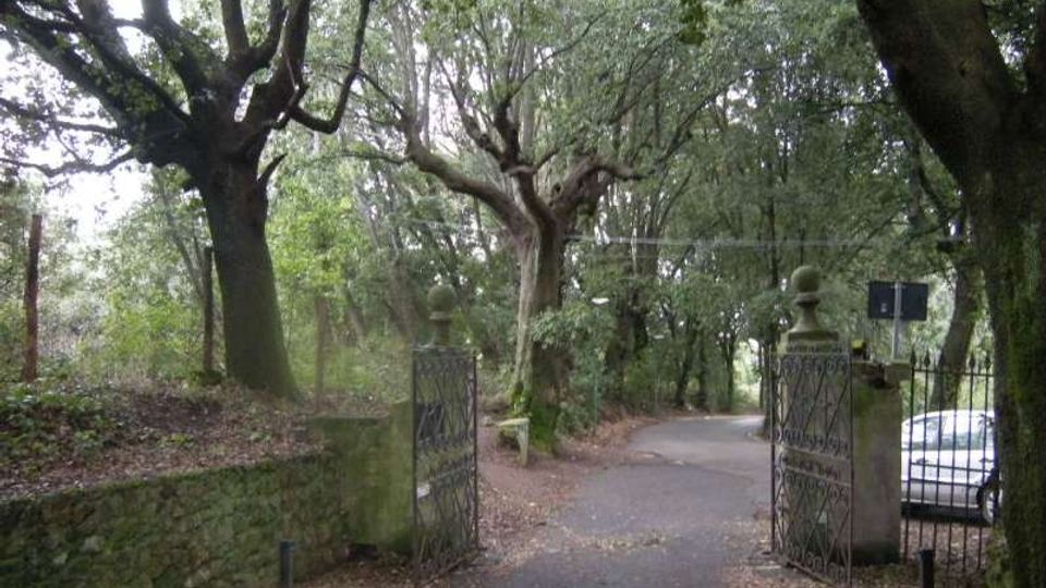 290-36556b16fa445325b31ff0c8c40b08d1jpg